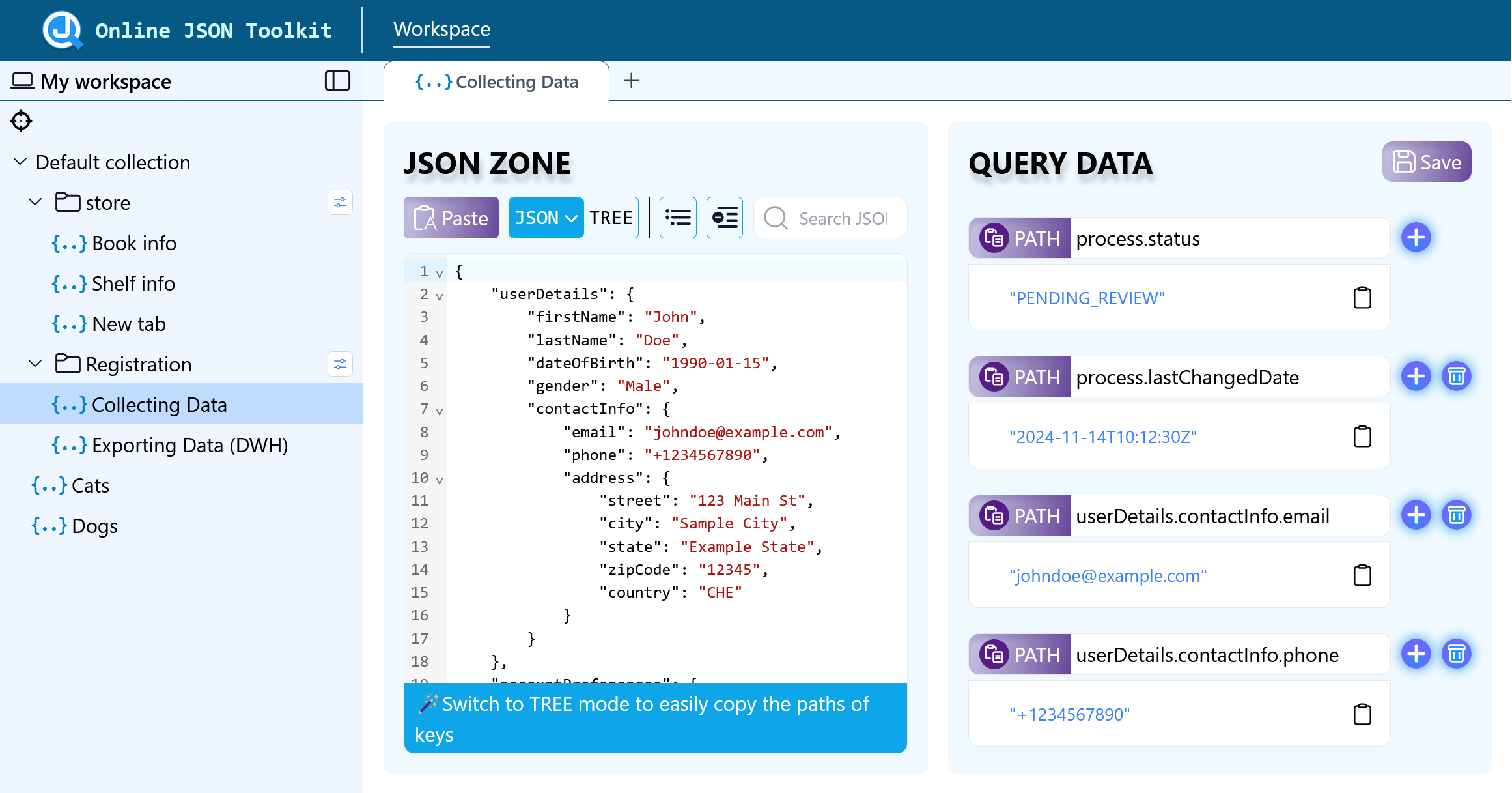 Open JSON File Demo Image